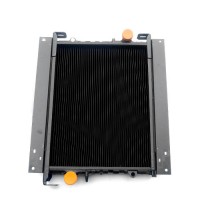 Radiator 21266489